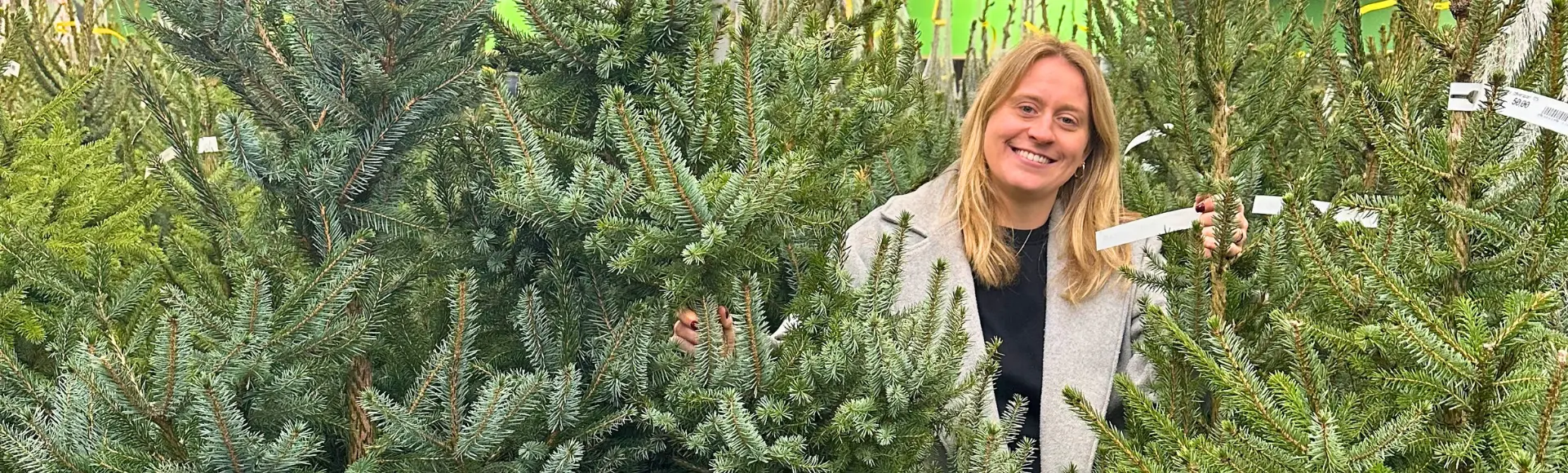 Echte Kerstbomen 2025 Kies jouw perfecte kerstboom vandaag!