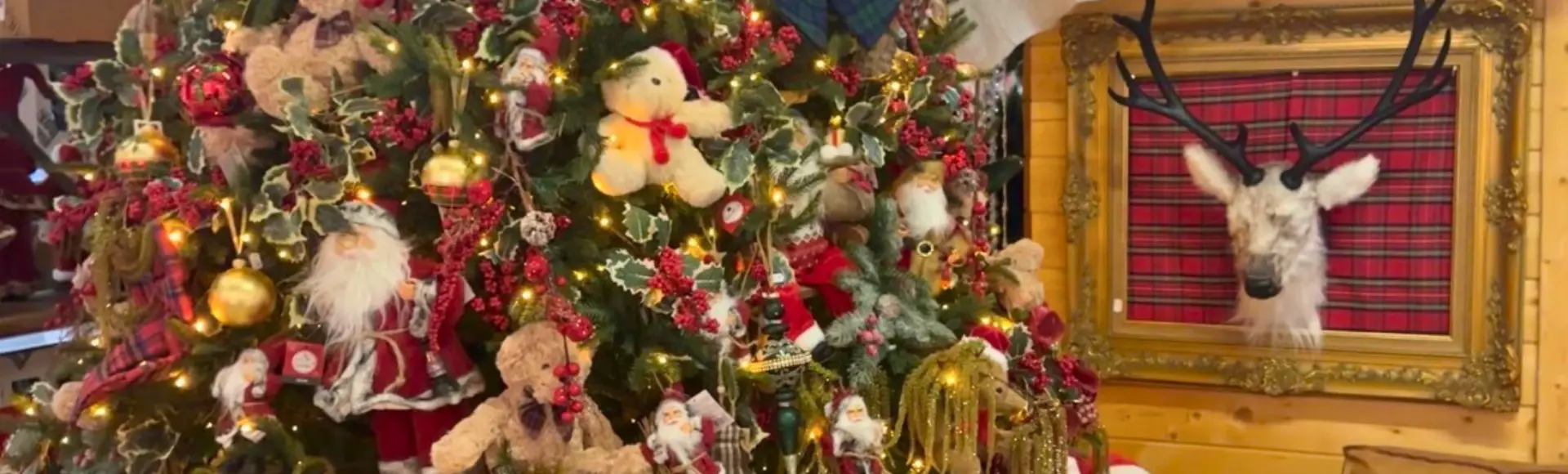 Kerst show Stap binnen in een wereld van kerst.