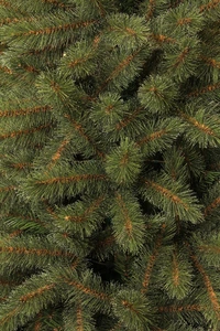 Black Box Trees Toronto kerstboom groen TIPS 1043 - h215xd132cm - afbeelding 3