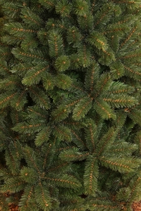 Triumph Tree Forest frosted pine kerstboom groen TIPS 1248 - h215xd140cm - afbeelding 2