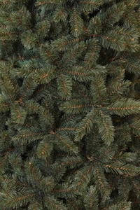 Triumph Tree Forest frosted kerstboom newgrowth blue TIPS 1536 - h230xd157cm - afbeelding 2