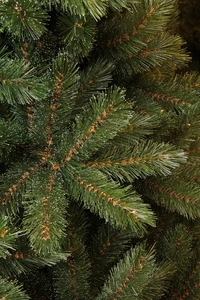 Triumph Tree Forest frosted pine kerstboom groen TIPS 1536 - h230xd157cm - afbeelding 3